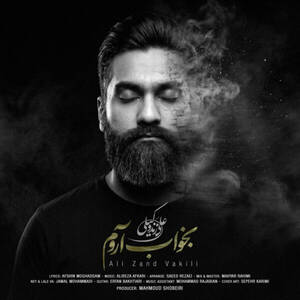 بخواب آروم - Ali Zandvakili